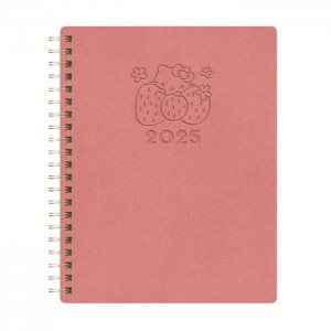 Hello Kitty Hello Kitty x Studio Oh! 2025 Desert Adventure Baxter Planner Pink | USA_HK44415